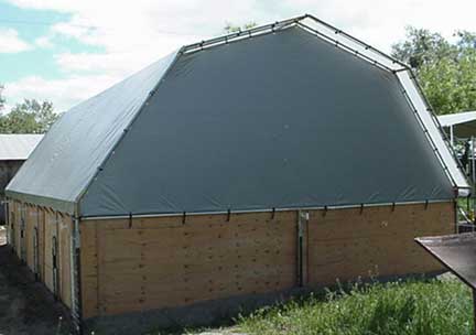 Dome shelter back